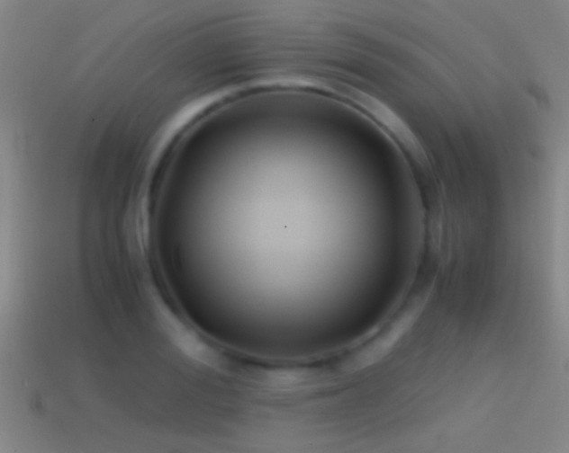 X0000114390988200910161250