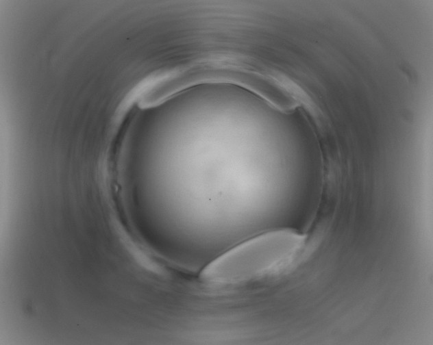 X0000114390989200910161250