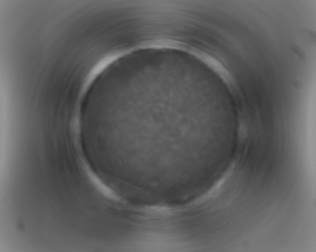 X0000114390990200910161250