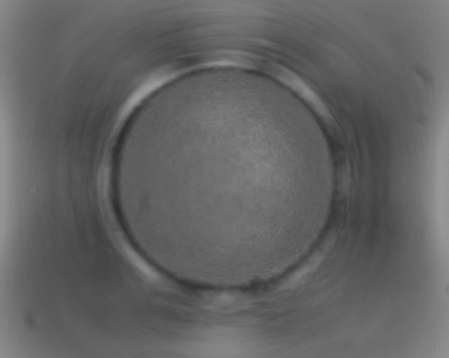 X0000114390991200910161250