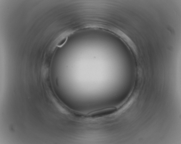 X0000114390993200910161250