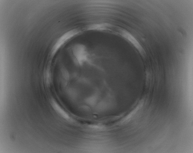 X0000114390994200910161250