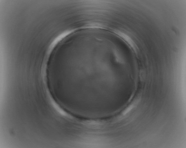 X0000114390995200910161250