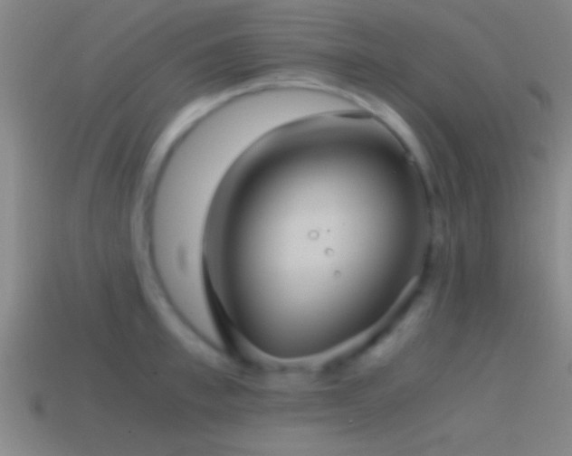 X0000114390997200910161250