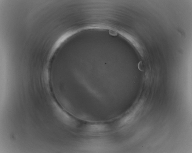 X0000114390998200910161249