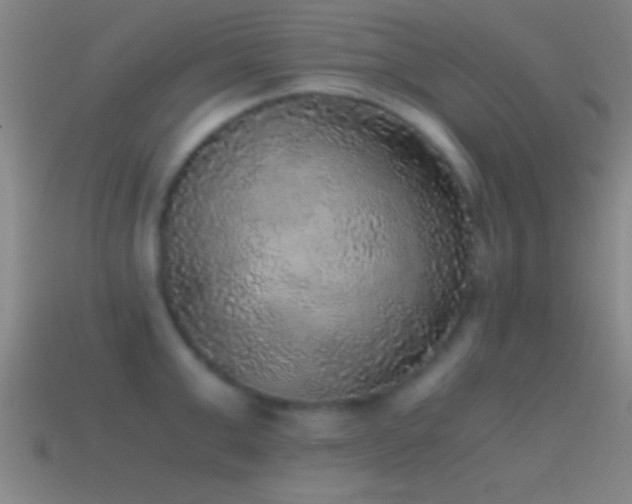 X0000114390999200910161249