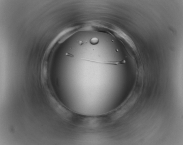 X0000114391000200910161249