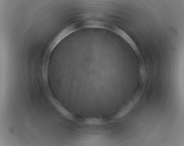 X0000114391002200910161249