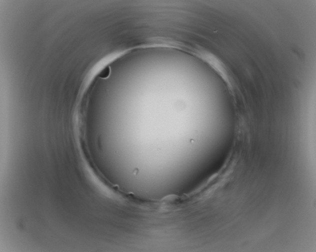 X0000114391003200910161249