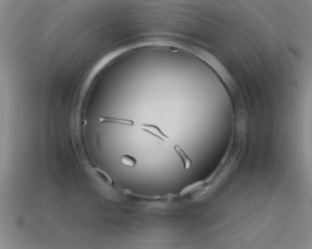 X0000114391004200910161249
