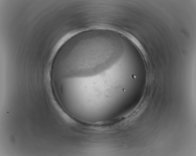 X0000114391005200910161249