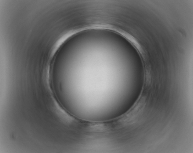 X0000114391006200910161249