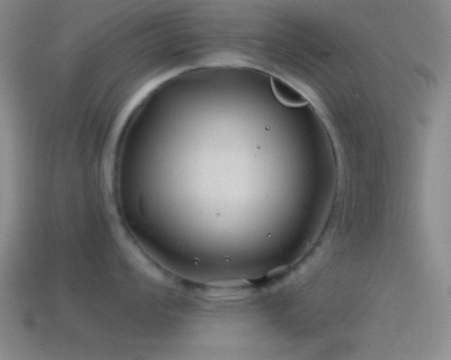 X0000114391008200910161249