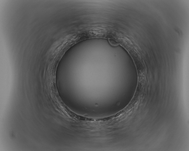 X0000114391009200910161249