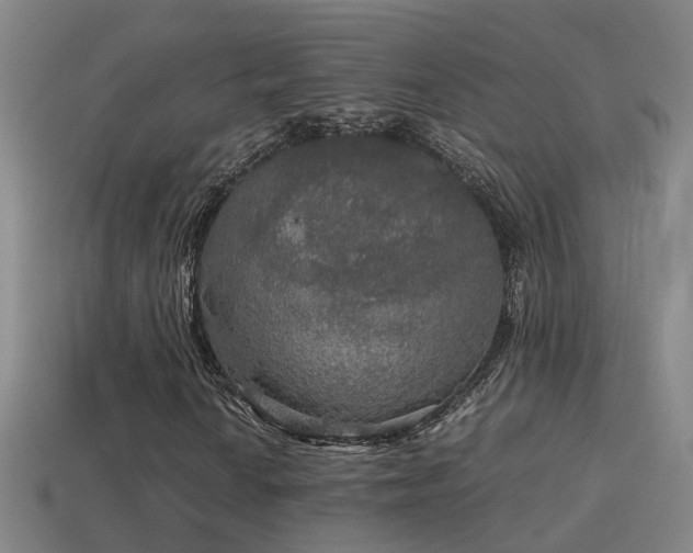 X0000114391010200910161249