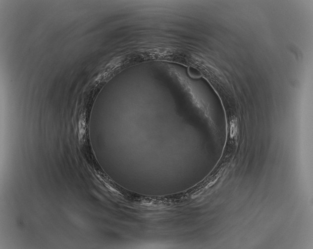 X0000114391011200910161249