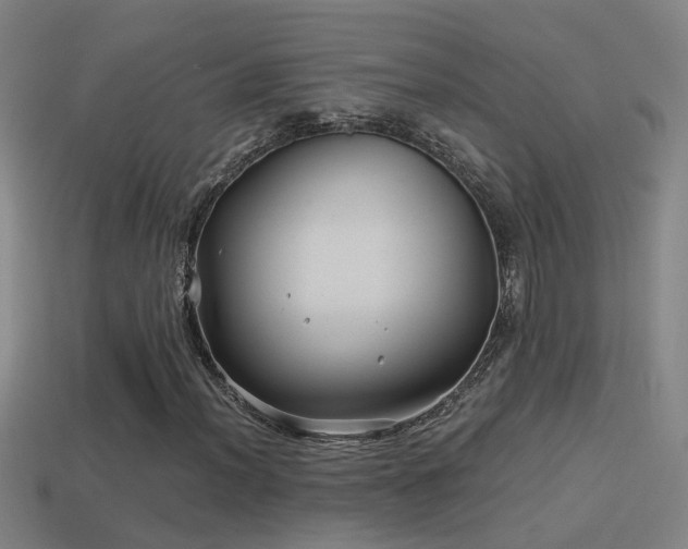X0000114391012200910161249