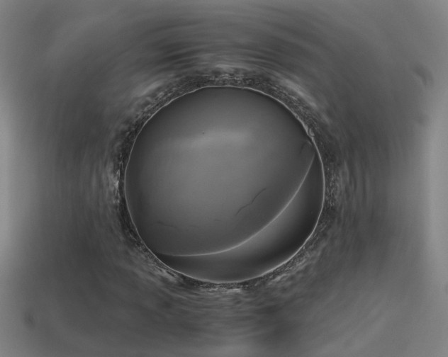 X0000114391013200910161249