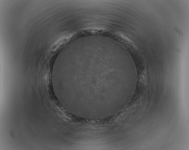 X0000114391014200910161249