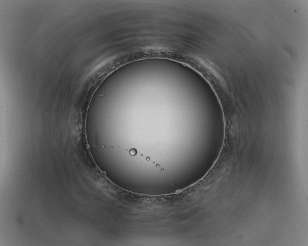 X0000114391015200910161249