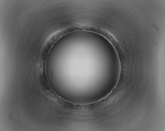 X0000114391016200910161249