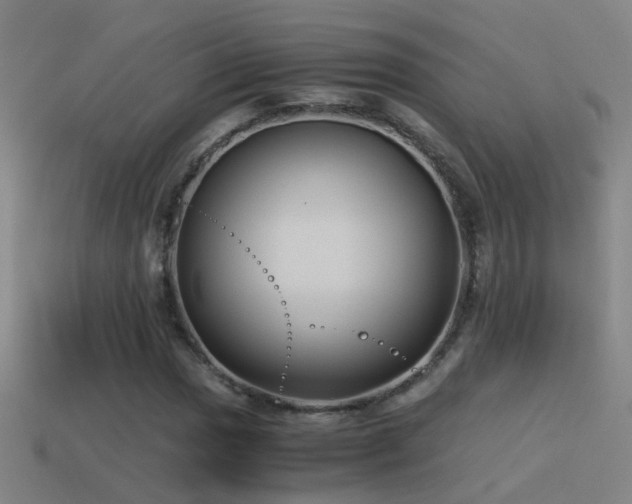 X0000114391017200910161249