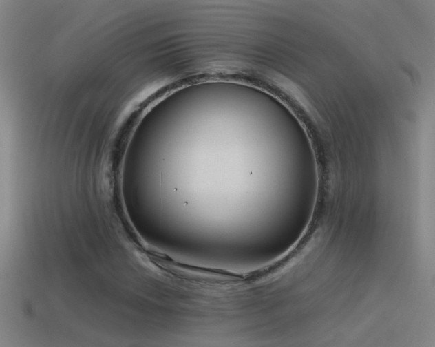 X0000114391018200910161249