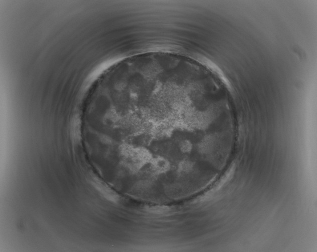 X0000114391019200910161249