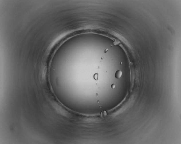 X0000114391021200910161249