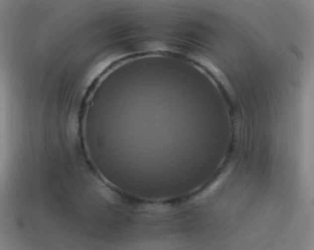 X0000114391023200910161249