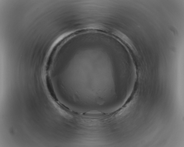 X0000114391024200910161249