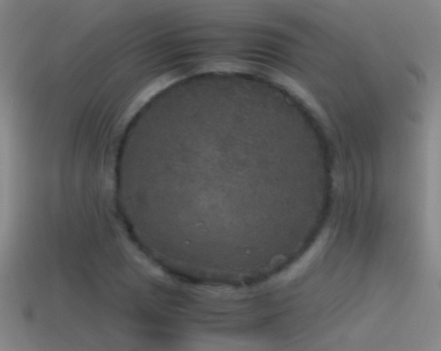 X0000114391025200910161249