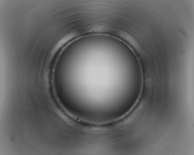 X0000114391026200910161249