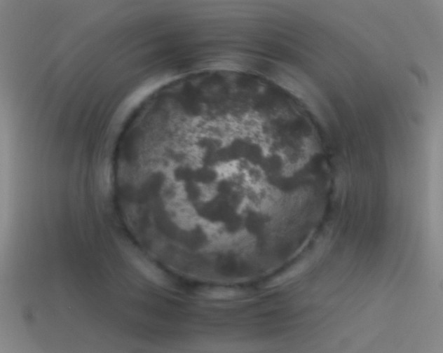 X0000114391027200910161249