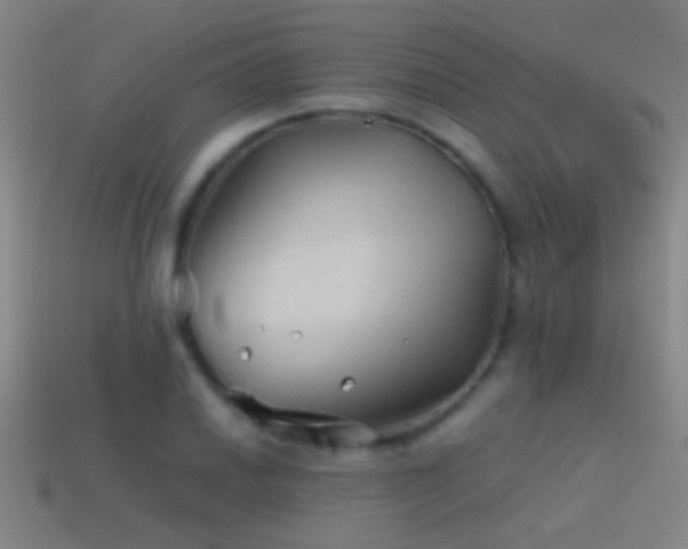 X0000114391030200910161249