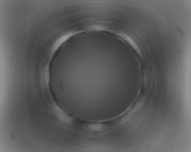X0000114391031200910161249