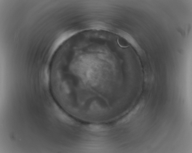 X0000114391032200910161249