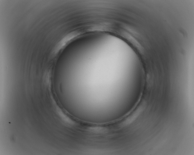 X0000114391033200910161249