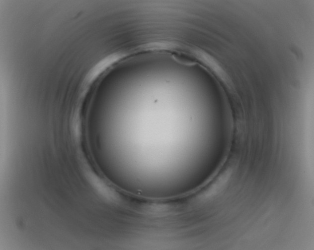 X0000114391034200910161249
