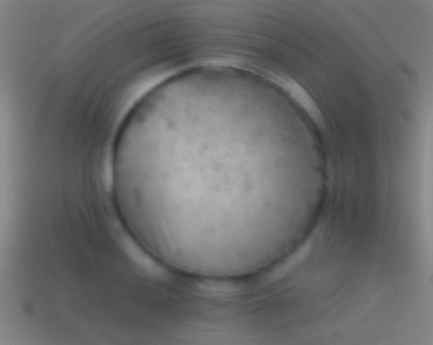 X0000114391036200910161249