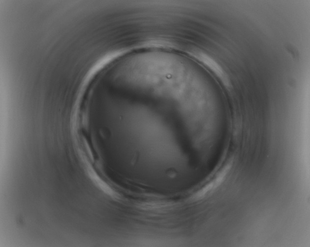 X0000114391037200910161249