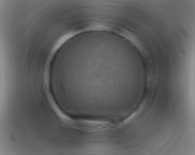 X0000114391038200910161249