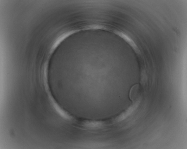 X0000114391039200910161249