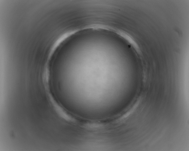X0000114391040200910161249