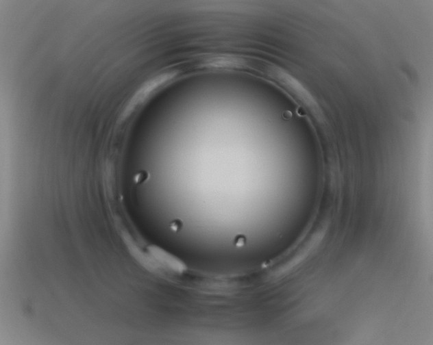 X0000114391041200910161249