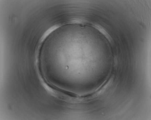 X0000114391042200910161249
