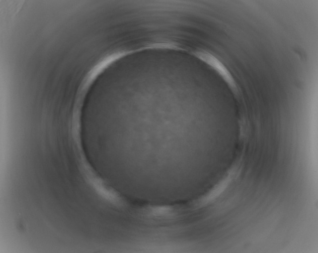X0000114391043200910161249