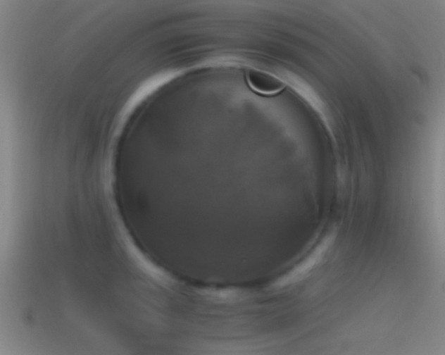 X0000114391045200910161249