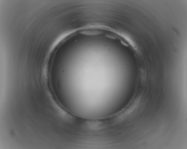 X0000114391046200910161249