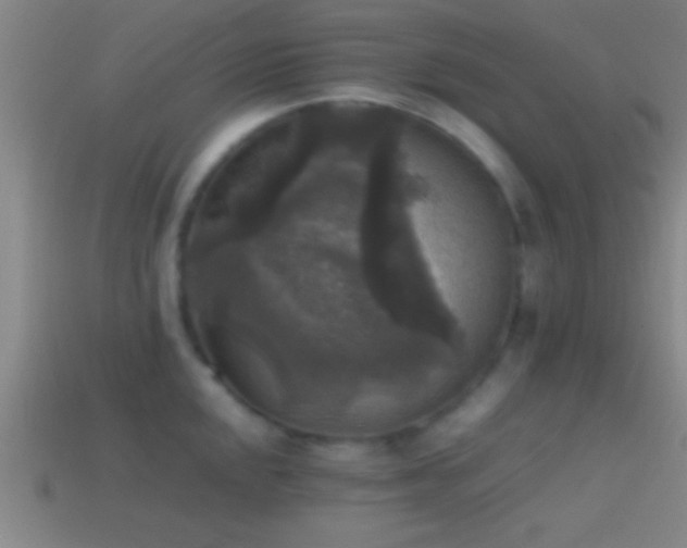 X0000114391048200910161249
